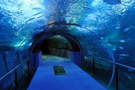 modra-podvodni-tunel-6d45-.jpeg